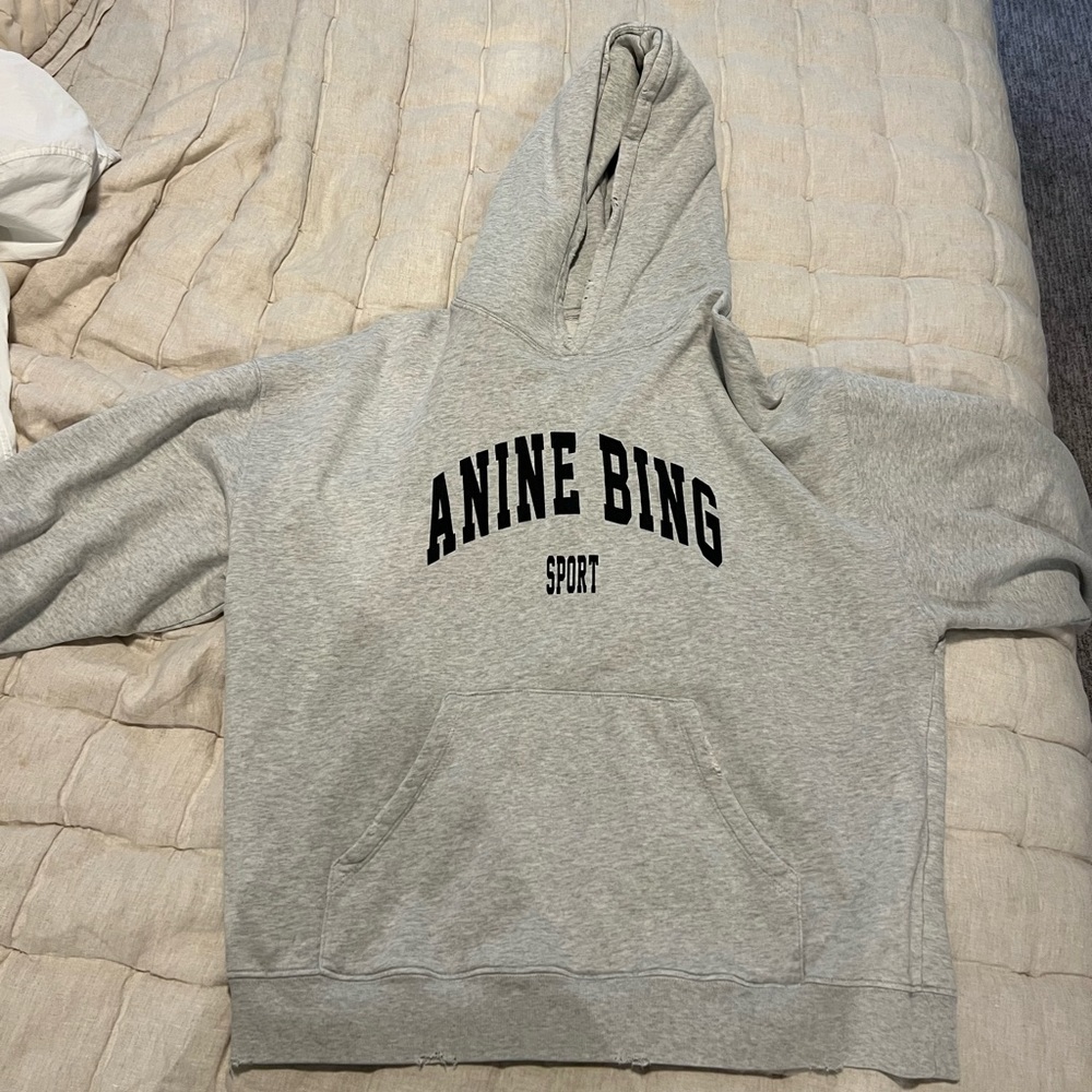 Anine Bing  distressed hoodie, black writing
